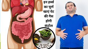 amla, Ushir, Rock salt, Sugar, Giloy, Dry Coriander Churna and Fennel seeds, Ayurveda for acidity, acidity relief, pitta dosha,