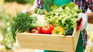 home grown vegetables , Vegetables to grow at home