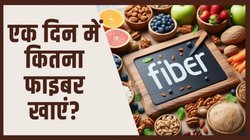 दिन भर में आप कितना फाइबर लेते हैं? सही मात्रा पाचन से लेकर ब्लड शुगर तक कई समस्याओं से दिला सकता है राहत, एक्सपर्ट से जानिए कैसे