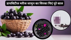 डायबिटीज मरीजों के लिए सबसे बड़ा अमृत काला जामुन, खत्म हो जाए तो ऑफ सीजन में 250ml इसका सिरका पी लें, हर समय Sugar रहेगा नॉर्मल