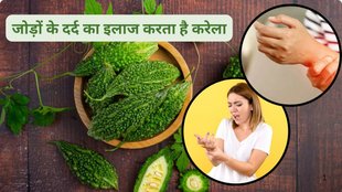 uric acid control, uric acid control tips, how to control uric acid, bitter gourd for uric acid, 5 Ways Bitter Gourd Helps To Lower Uric Acid Levels,