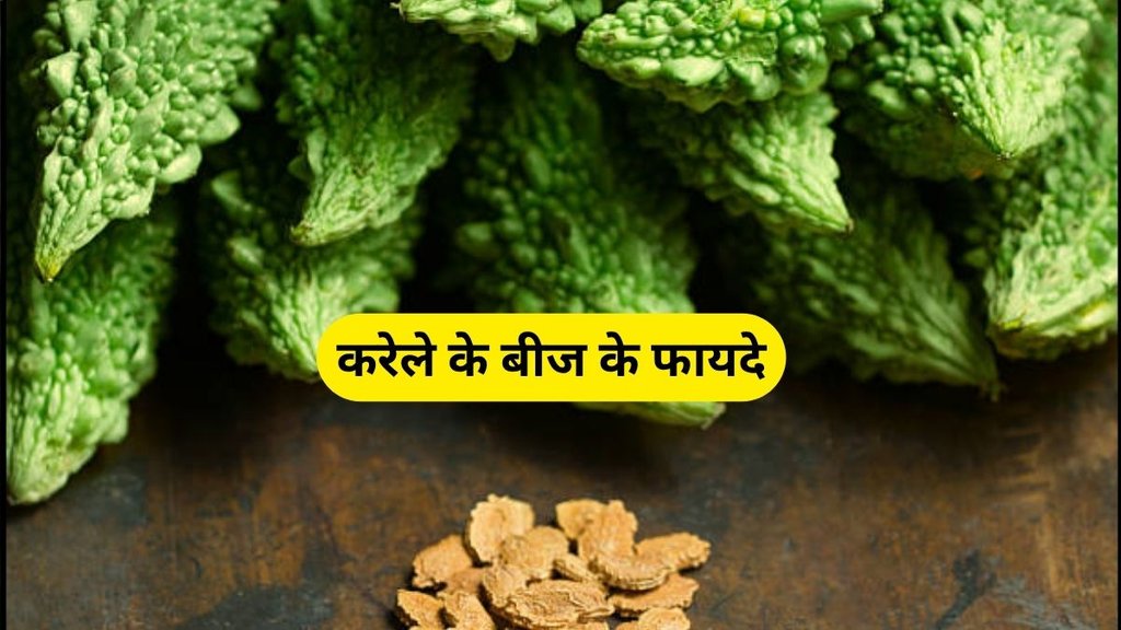 karela seeds health benefits, karela ke beej khane ke fayde, karela seeds khane ke fayde, health benefits of karela, karela kise khana chaiye, Bitter Gourd Seeds