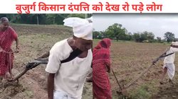 भगवान ऐसी मजबूरी किसी को न दें! गरीब किसान और पत्नी इस हाल में जोत रहे खेत, Viral Video देख आंखों में आ जाएंगे आंसू