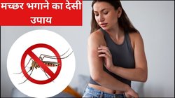 बारिश शुरू होते ही बढ़ने लगा मच्छरों का प्रकोप? इन 5 हैक्स से नहीं पड़ेगी कॉइल और स्प्रे की जरूरत