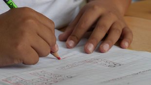 mute deaf and visually impaired disability