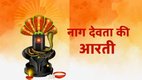 naag panchami, naag ki aarti, nag ki arti, nag devta aarti nag panchami, nag panchami aarti, nag devta ki aarti, , Astrology Today, Astrology Today In Hindi, नाग देवता की आरती, नाग पंचमी पर करें ये आरती, सारे कष्ट होंगे दूर, नाग पंचमी आरती, नाग आरती