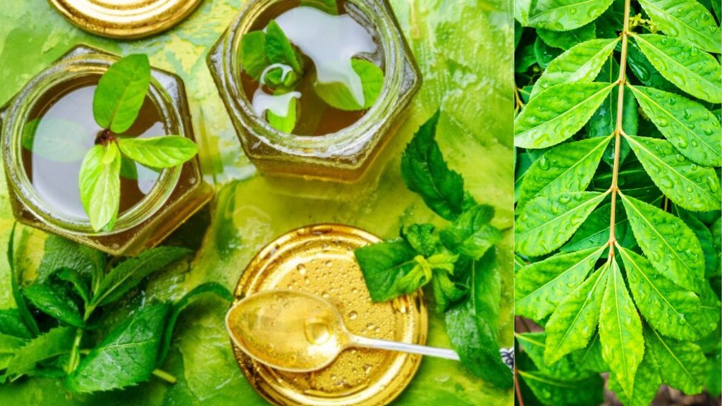 khali pet neem tulsi shahad khane ke fayde | benefits of basil leaves in empty stomach | janiye khali pet kya khaye