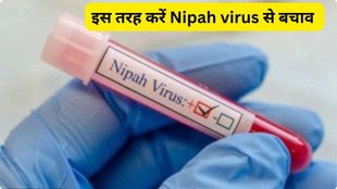 Kerala alert after Nipah virus cases, monsoon, nipah virus signs and symptoms, nipah virus kerala, nipah latest news today, Kerala lottery 2025, Nipah virus in Kerala total death, Nipah virus symptoms, Nipah virus Kerala 2018 death list, nipah virus outbreak