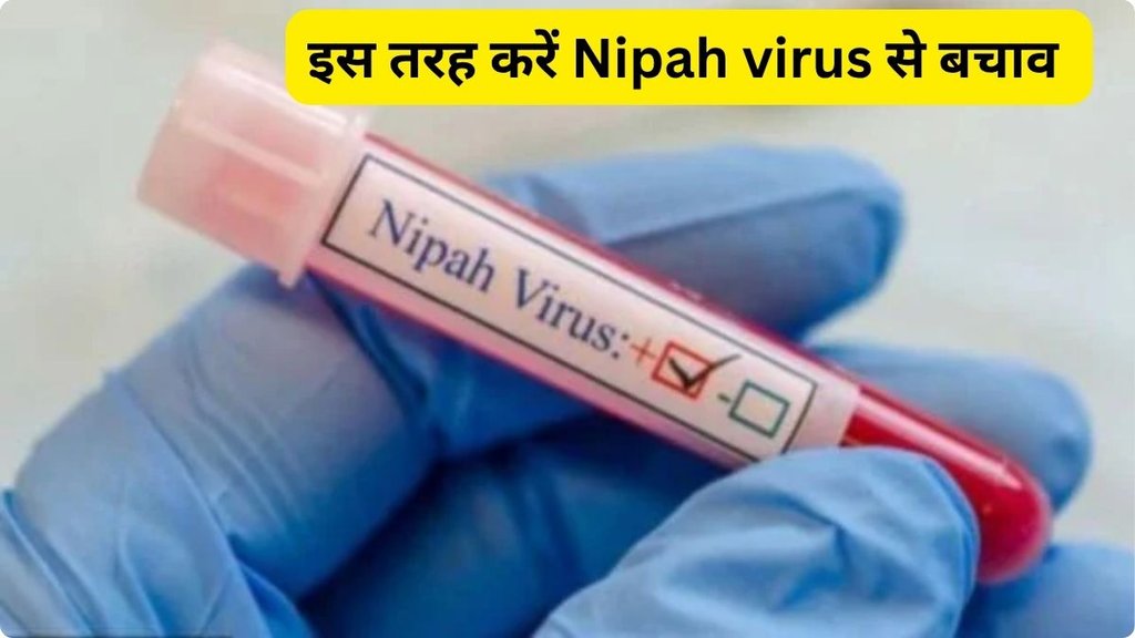 Kerala alert after Nipah virus cases, monsoon, nipah virus signs and symptoms, nipah virus kerala, nipah latest news today, Kerala lottery 2025, Nipah virus in Kerala total death, Nipah virus symptoms, Nipah virus Kerala 2018 death list, nipah virus outbreak