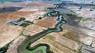 noon river| pili river| UP news