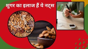 Which nut is best for diabetics, best nuts for diabetes, Nuts that can be added to a diabetic diet,The Best Nuts for Diabetes