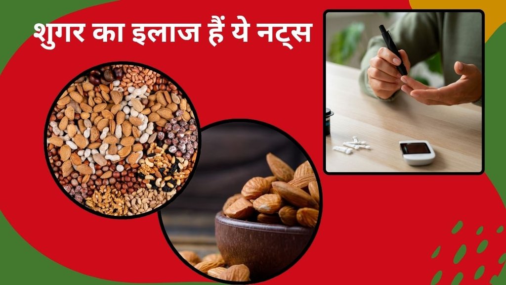 Which nut is best for diabetics, best nuts for diabetes, Nuts that can be added to a diabetic diet,The Best Nuts for Diabetes
