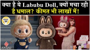 Is Labubu Doll really evil? Actress also made a claim!