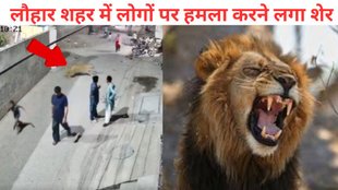 Pakistan, Pakistan viral video, lion viral video,