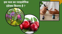 क्या डायबिटीज में आलूबुखारा खा सकते हैं? ब्लड शुगर को नॉर्मल रखने में ये फल कैसे करता है मदद, डायबिटोलॉजिस्ट से जानिए