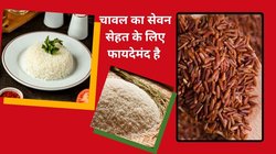 हर दिन चावल खाना सही है या गलत? जानिए डॉक्टर क्या कहते हैं