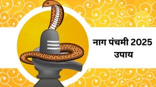 Nag Panchami 2025, Nag Panchami 2025 Date, Nag Panchami 2025 Tithi, Nag Panchami 2025 Astro Remedies, Nag Panchami 2025 Totke, Nag Panchami 2025 upay, Nag Panchami remedies for kali sarp dosh, Nag Panchami auspicious rituals, Kalsarp dosh Nag Panchami solutions