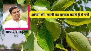 शीशम के पत्ते कौन-सी बीमारी में काम आते हैं, Which Diseases Can be Treated with Sheesham Leaves in Hindi, Sheesham ke Patte Kon si Bimari me kaam Aate hai, शीशम के पत्ते खाने से कौन सा रोग ठीक होता है?