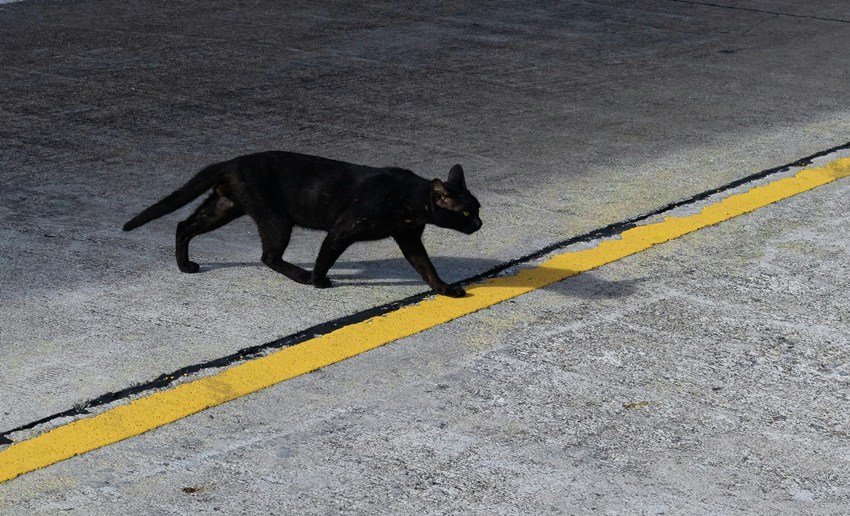 superstitions in India