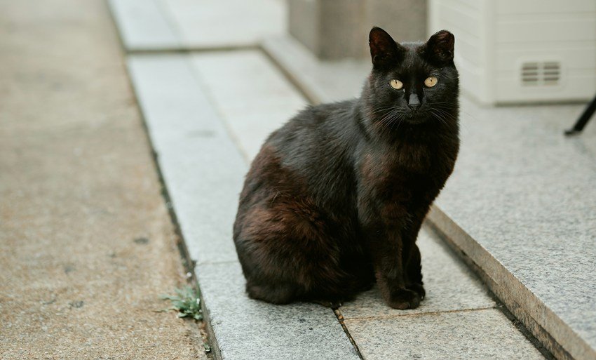 how to remove bad omen