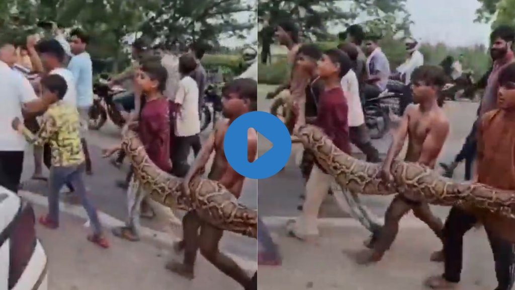 Snake Video| Viral Video, Bulandshahr