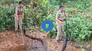 Snake Video| Animal Video| Hindi News