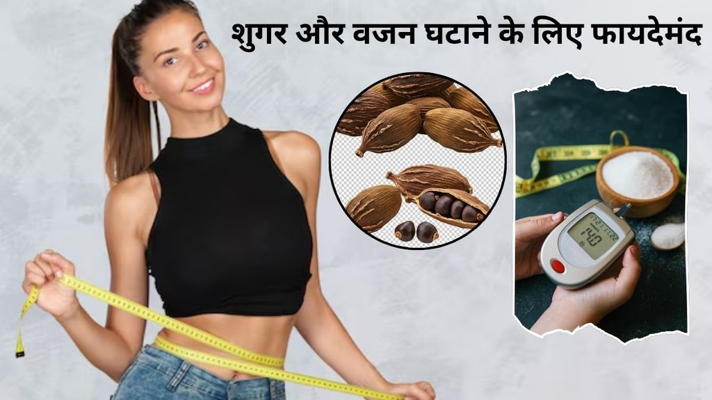 How to eat cardamom, benefits of chewing cardamom, benefits of eating cardamom while sleeping at night, how to eat cardamom for diabetes and weight loss