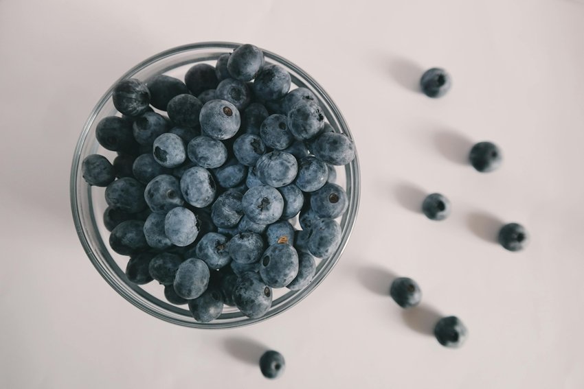 10 Everyday Foods That Support Cognitive Health