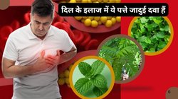 कोलेस्ट्रॉल कंट्रोल करेंगी इन 3 पत्तों की चटनी, खाने में स्वादिष्ट इस होम रेमेडी से खून होगा शुद्ध, आयुर्वेदिक एक्सपर्ट से जानिए फायदे