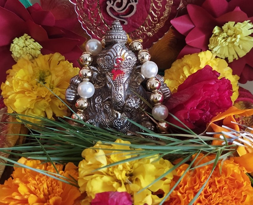 5 Incredible Health Benefits of Durva Ganesha Beloved Grass