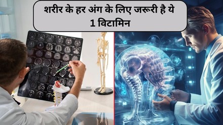 Vitamin B12  ,     -  ?       ! | Jansatta