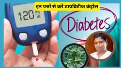 ब्लड शुगर कंट्रोल करने का रामबाण इलाज हैं अश्वगंधा के पत्ते, इंसुलिन को नेचुरली बढ़ाऐंगे, डायबिटीज रहेगा कंट्रोल