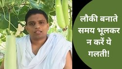 लौकी बनाते समय भूलकर न करें ये गलती, आचार्य बालकृष्ण ने बताया बीमारी से बचने के लिए सेवन का सही तरीका