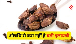 Black Cardamom Benefits in Hindi