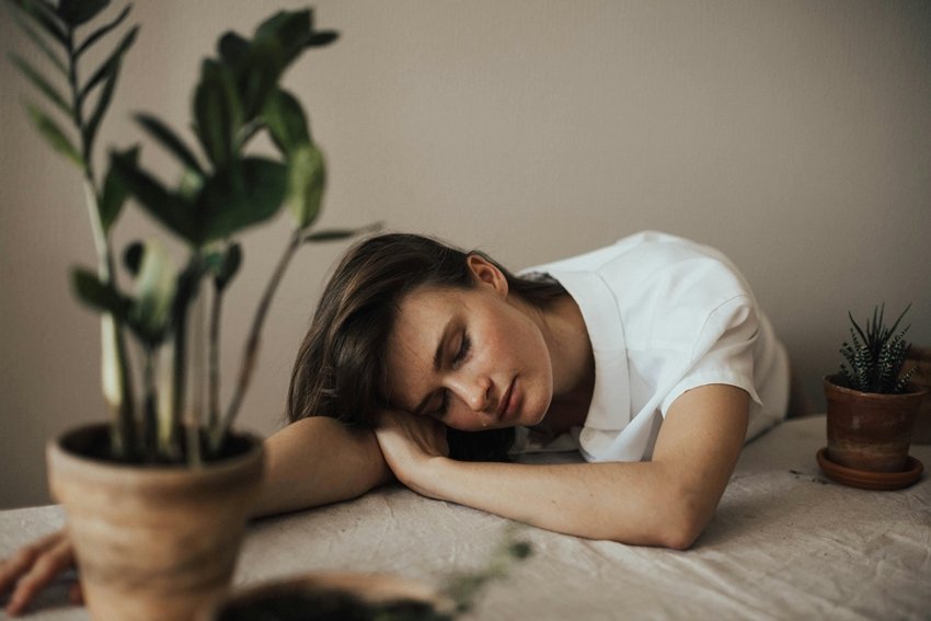 Air-Purifying and Health-Boosting Plants for Your Home