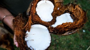 Amazing Health Benefits of Eating Raw Coconut