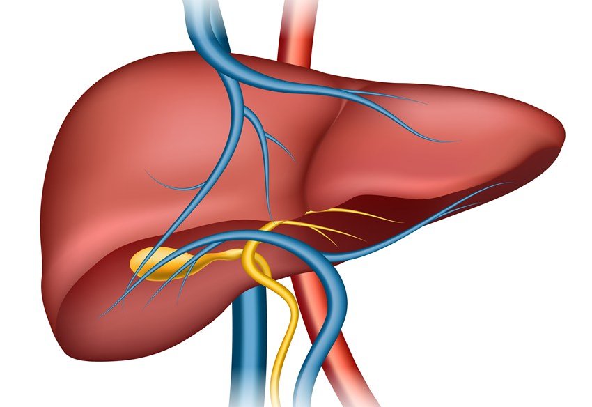 How to detox liver naturally