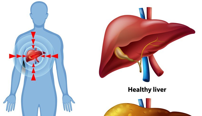 Ayurvedic remedy for liver cleanse