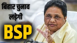 BSP Bihar assembly elections, Mayawati Bihar poll strategy, BSP to contest Bihar, Akash Anand BSP national coordinator
