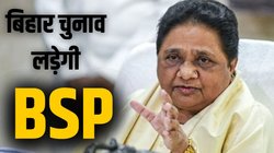 बिहार विधानसभा चुनाव अकेले लड़ेगी BSP, मायावती ने भतीजे आकाश आनंद को दी बड़ी जिम्मेदारी