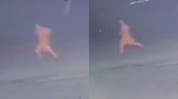 बलरामपुर में मूक-बधिर युवती से गैंगरेप, इज्जत बचाने के लिए सड़क पर दौड़ती दिखी पीड़िता, पुलिस एनकाउंटर में पकड़े गए दो आरोपी