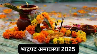 Bhadrapada Amavasya 2025, Bhadrapada Amavasya significance, Amavasya puja 2025, Bhadrapada Amavasya rituals, Pitru dosh remedies Amavasya,Ancestral blessings on Amavasya, Amavasya 2025 date and time, Bhadrapada Amavasya mantra chanting, Bhadrapada Amavasya importance, Remedies for Pitru dosha on Amavasya, Bhadrapada Amavasya puja vidhi, vishnu chalisa, vishnu ji puja vidhi, पितृ दोष,श्राद्ध,तर्पण,विष्णु चालीसा,कुशग्रहणी अमावस्या,पितृ शांति,  vishnu chalisa on Bhadrapada Amavasya 2025
