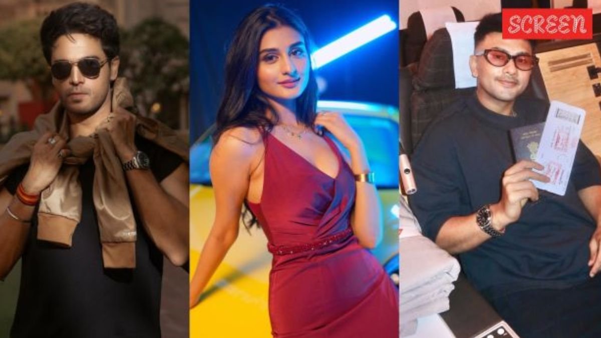 Bigg Boss 19 Full Contestants List