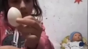 Viral Video| Trending Video| Shocking Video