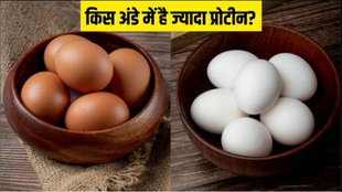 Brown Eggs vs White Eggs, brown egg benefits, white egg benefits, egg, Brown Eggs vs White Eggs benefits, Brown or white egg