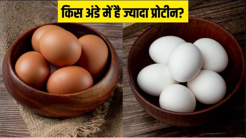 Brown Eggs vs White Eggs, brown egg benefits, white egg benefits, egg, Brown Eggs vs White Eggs benefits, Brown or white egg