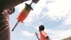 संपादकीय: निर्दोष नागरिकों और मासूम पक्षियों के लिए मौत की डोर है चीनी मांझा, पर्यावरण संरक्षण की धारा के तहत सजा और जुर्माने का प्रावधान