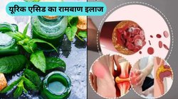 यूरिक एसिड की समस्या दूर कर सकती है ये खास चटनी, जोड़ों के दर्द और गठिया से भी मिलेगी राहत