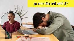 Daytime Sleep: क्या आपको दिन में भी हमेशा नींद आती है? ये 5 चीजें खाने से थकान हो रही है महसूस, जानिए कैसे करें दूर