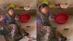 Chhatarpur| Hindi News, Viral News